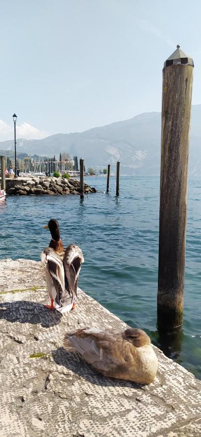 דירות Riva Del Garda Nest מראה חיצוני תמונה